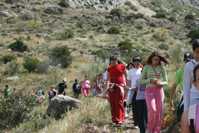 Rutas de camicrema